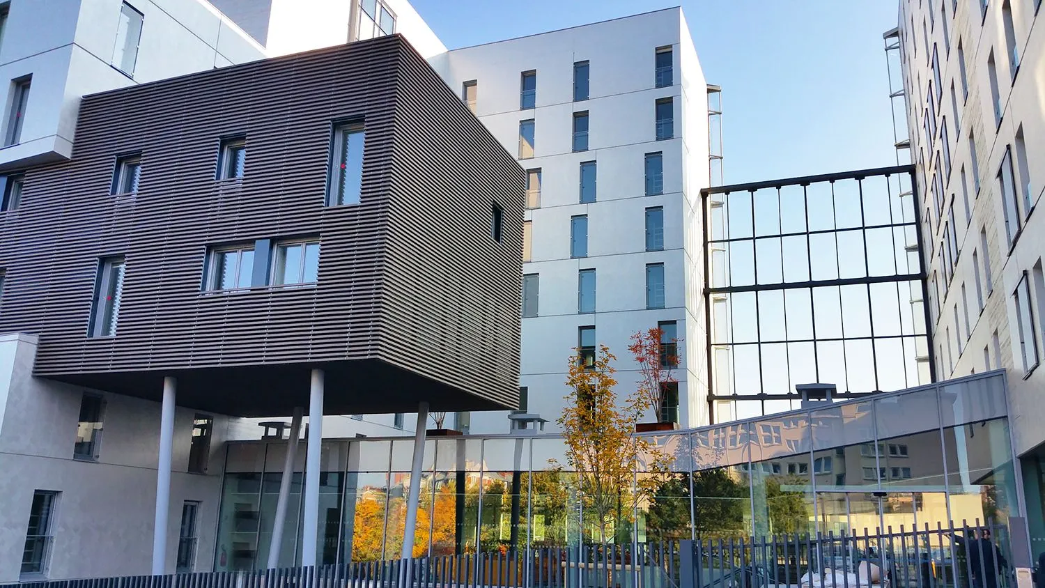 Bâtiment moderne avec façade vitrée et structure bois 